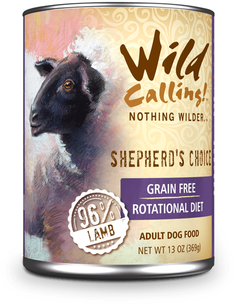 Wild calling canned dog food store