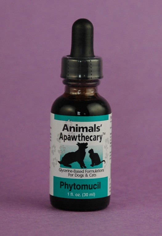 Phytomucil for dogs clearance